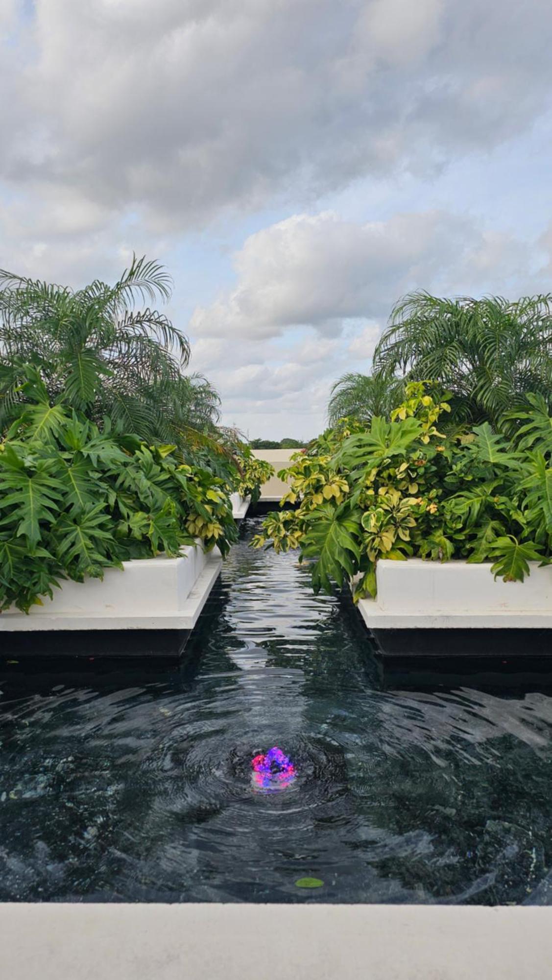 Xoza Cancun Distinctive Hotels Eksteriør billede